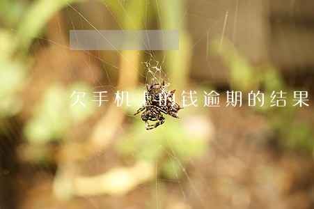 欠手机上的钱逾期的结果