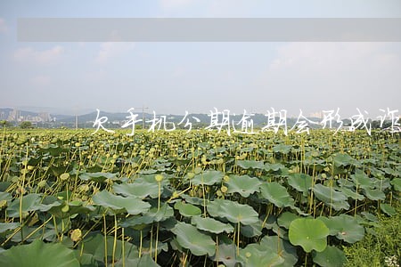 欠手机分期逾期会形成诈骗吗 欠手机分期逾期会形成诈骗吗