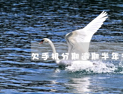 欠手机分期逾期半年多 欠手机分期逾期半年多