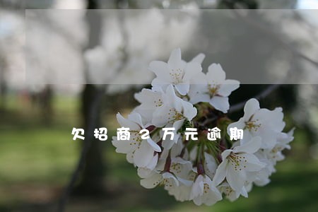 欠招商2万元逾期 欠招商2万元逾期