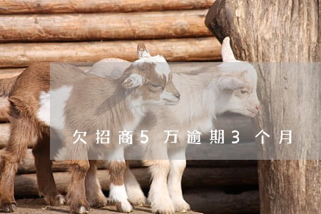 欠招商5万逾期3个月 欠招商5万逾期3个月
