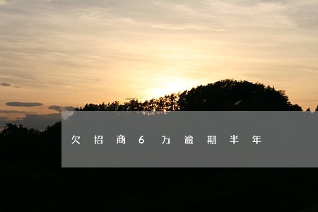 欠招商6万逾期半年