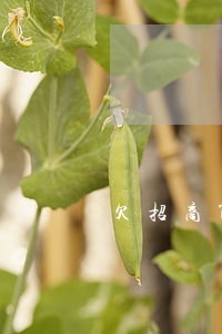 欠招商7000逾期了四个月