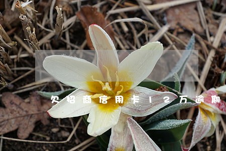 欠招商信用卡12万逾期3个月 欠招商信用卡12万逾期3个月