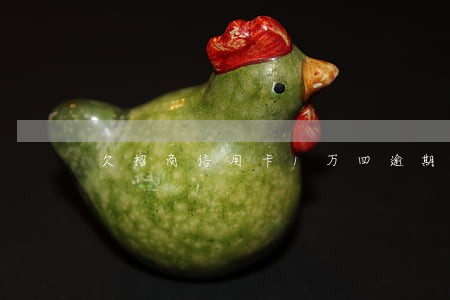 欠招商信用卡1万四逾期四个月 欠招商信用卡1万四逾期四个月