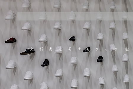 欠招商信用卡4000逾期半年
