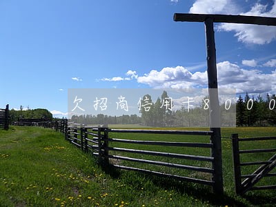 欠招商信用卡8000逾期一年 欠招商信用卡8000逾期一年