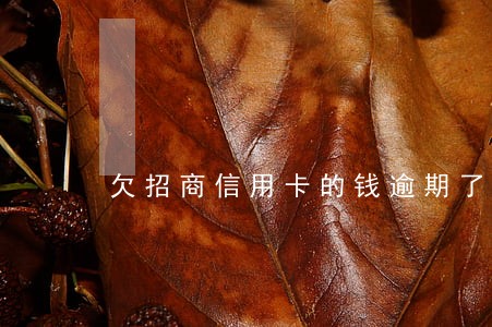 欠招商信用卡的钱逾期了会怎样