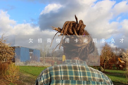 欠招商信用卡逾期多久才会被起诉 欠招商信用卡逾期多久才会被起诉