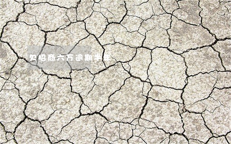 欠招商六万逾期半年