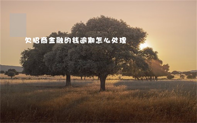欠招商金融的钱逾期怎么处理 欠招商金融的钱逾期怎么处理
