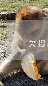 欠招商银7万多逾期怎么办 欠招商银7万多逾期怎么办