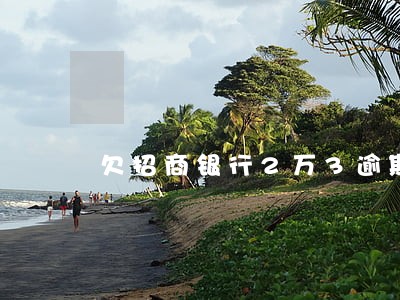 欠招商银行2万3逾期五个月 欠招商银行2万3逾期五个月