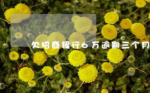 欠招商银行6万逾期三个月 欠招商银行6万逾期三个月