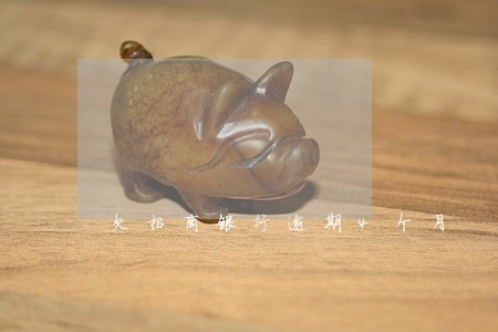 欠招商银行逾期4个月