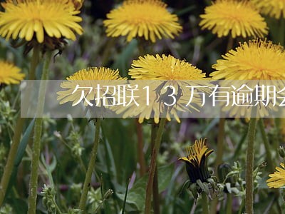 欠招联13万有逾期会坐牢吗 欠招联13万有逾期会坐牢吗