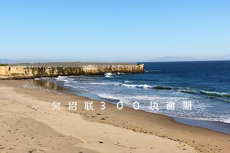 欠招联300块逾期 欠招联300块逾期