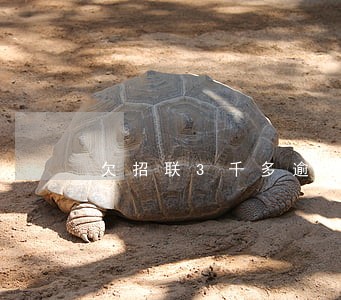 欠招联3千多逾期会咋样 欠招联3千多逾期会咋样