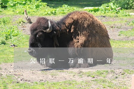 欠招联一万逾期一年 欠招联一万逾期一年