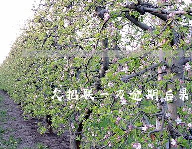 欠招联一万逾期后果 欠招联一万逾期后果