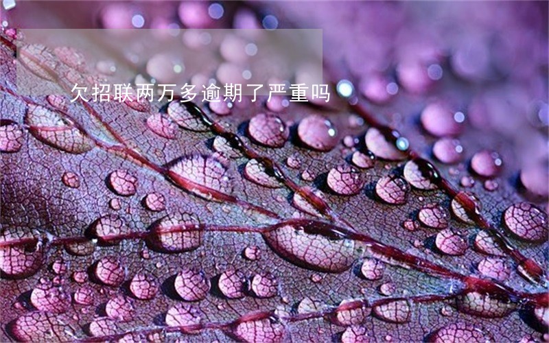欠招联两万多逾期了严重吗
