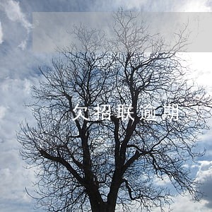 欠招联逾期 欠招联逾期