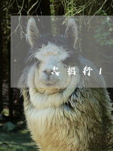 欠招行1万8逾期5个月