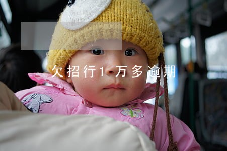 欠招行1万多逾期