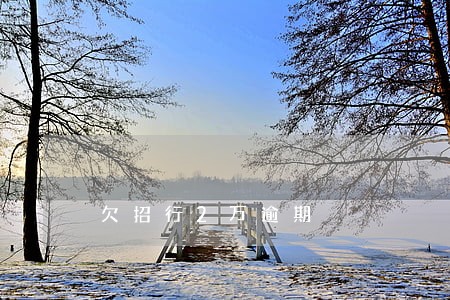 欠招行2万逾期 欠招行2万逾期