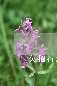 欠招行2万逾期上门了6 欠招行2万逾期上门了6