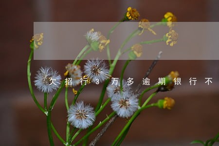 欠招行3万多逾期银行不肯协商 欠招行3万多逾期银行不肯协商