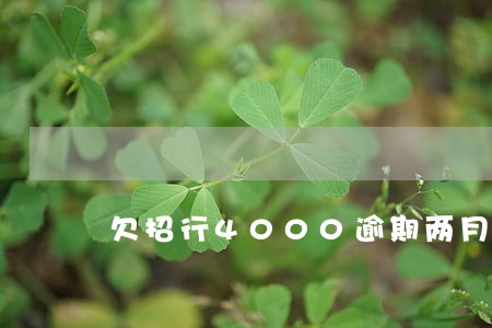 欠招行4000逾期两月怎么办 欠招行4000逾期两月怎么办