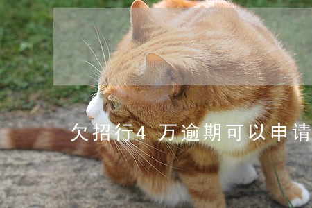 欠招行4万逾期可以申请分期吗 欠招行4万逾期可以申请分期吗