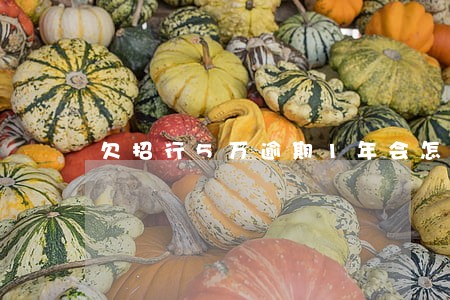 欠招行5万逾期1年会怎么样 欠招行5万逾期1年会怎么样