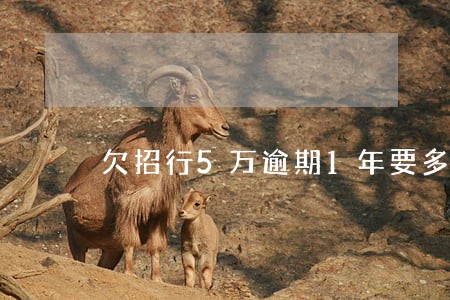 欠招行5万逾期1年要多少利息 欠招行5万逾期1年要多少利息