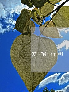 欠招行6万逾期20个月 欠招行6万逾期20个月