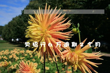 欠招行6万逾期2个月 欠招行6万逾期2个月