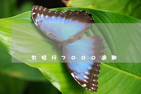 欠招行7000逾期 欠招行7000逾期
