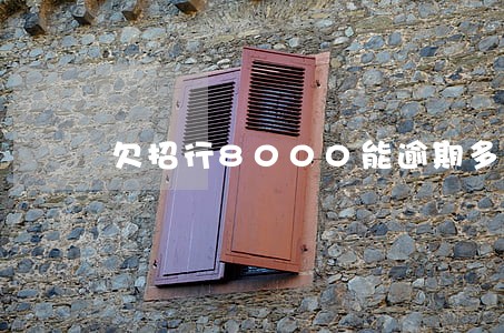 欠招行8000能逾期多久 欠招行8000能逾期多久