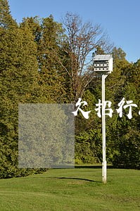 欠招行8万多逾期三个月 欠招行8万多逾期三个月