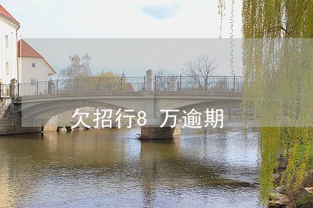 欠招行8万逾期 欠招行8万逾期