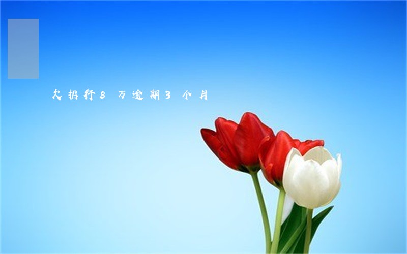 欠招行8万逾期3个月 欠招行8万逾期3个月