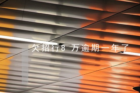 欠招行8万逾期一年了