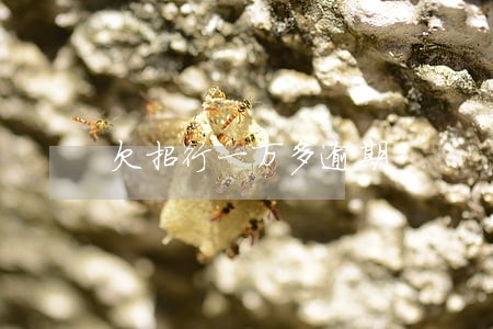 欠招行一万多逾期