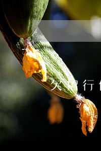 欠招行信用卡5万逾期1年 欠招行信用卡5万逾期1年