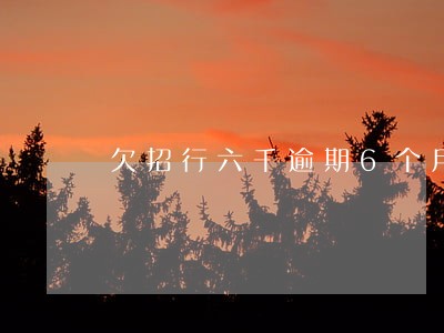欠招行六千逾期6个月 欠招行六千逾期6个月