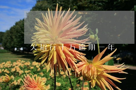 欠招行十万逾期一年 欠招行十万逾期一年