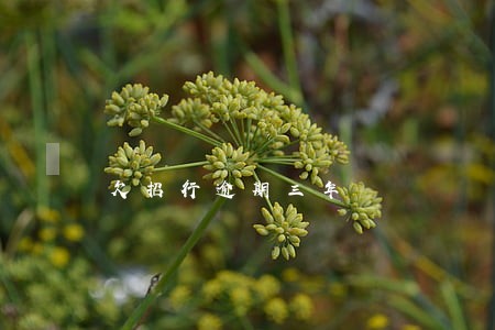 欠招行逾期三年 欠招行逾期三年