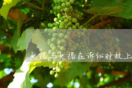 欠据与欠据在诉讼时效上有何差异 欠据与欠据在诉讼时效上有何差异