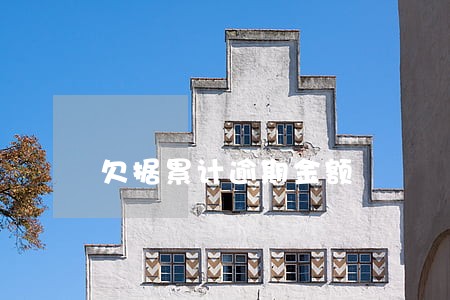 欠据累计逾期金额 欠据累计逾期金额
